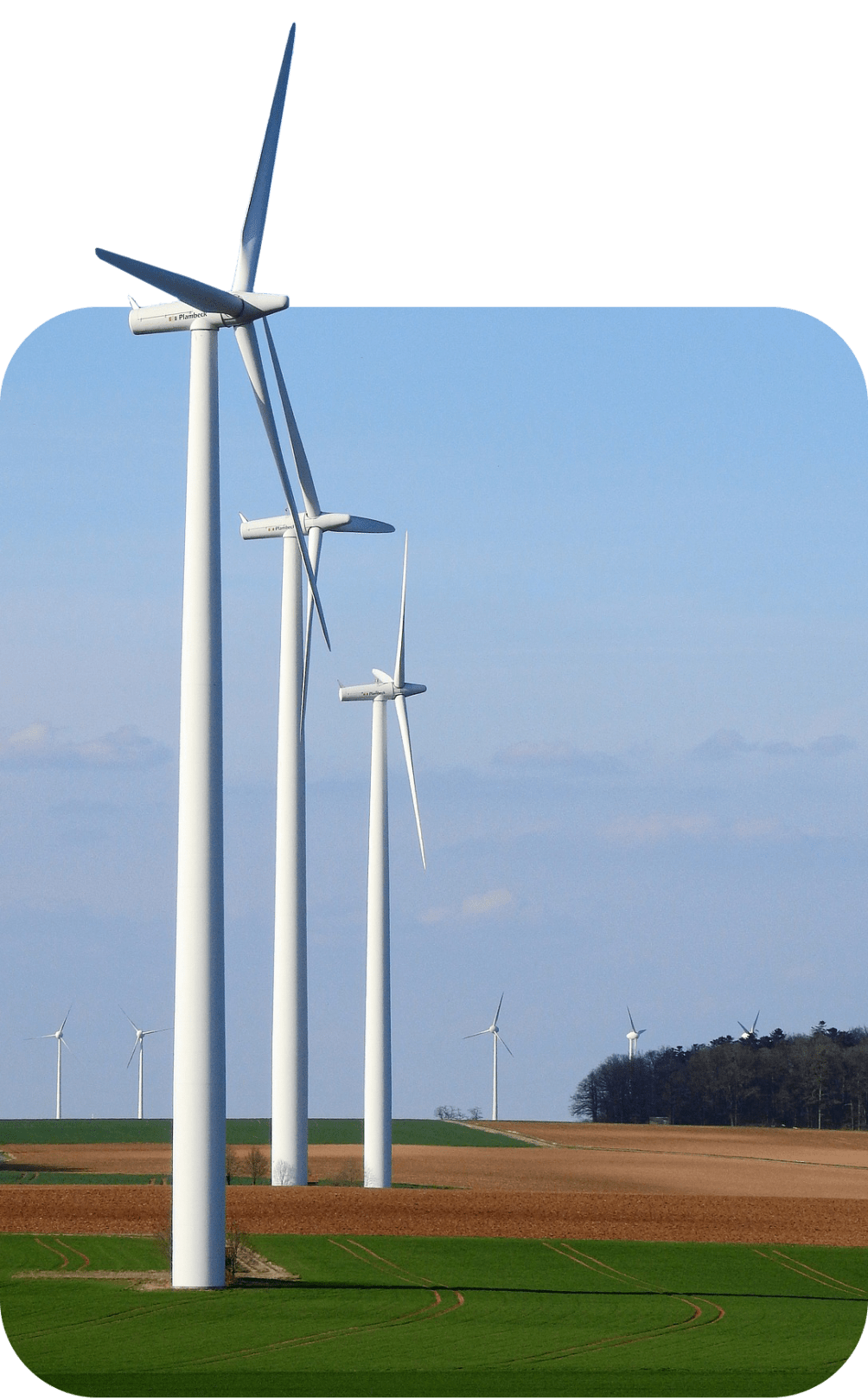 Row of wind turbines in field